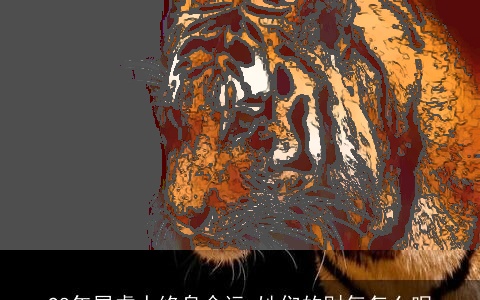 98年属虎人终身命运 她们的财气怎么呢