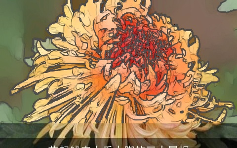 花起钱来大手大脚的三大属相