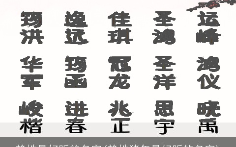 赖姓最好听的名字(赖姓猪年最好听的名字)