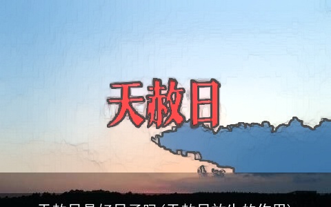 天赦日是好日子吗(天赦日放生的作用)