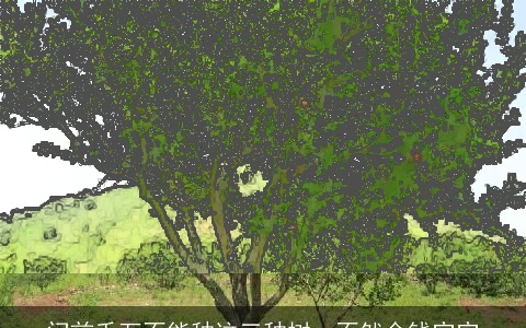 门前千万不能种这三种树，不然金钱空空