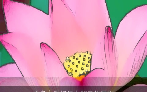 立冬之后好运大翻身的属相