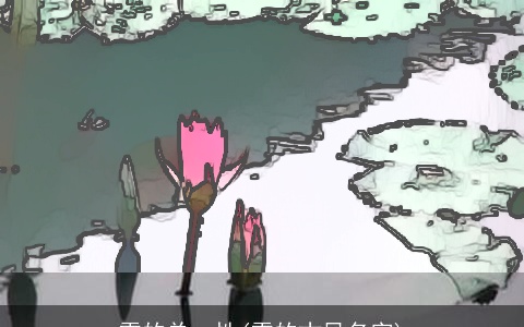 雪的单一性(雪的古风名字)