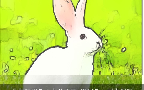 女虎和男兔永久分不开 男属兔女属虎配吗