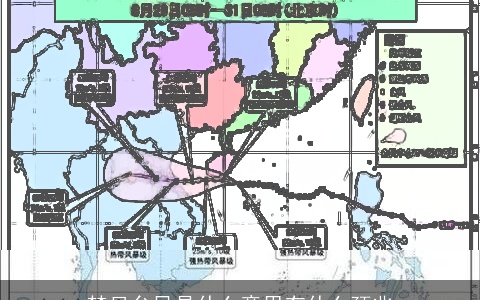 梦见台风是什么意思有什么预兆