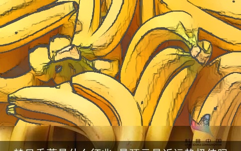 梦见香蕉是什么征兆 是预示最近运势极佳吗