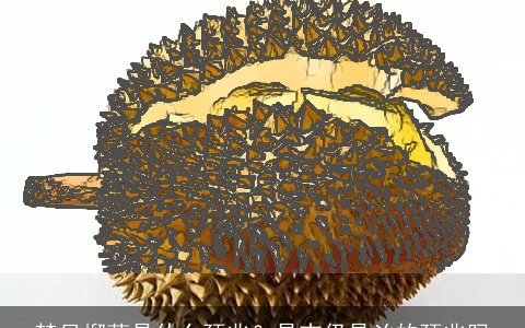 梦见榴莲是什么预兆？是吉仍是凶的预兆吗