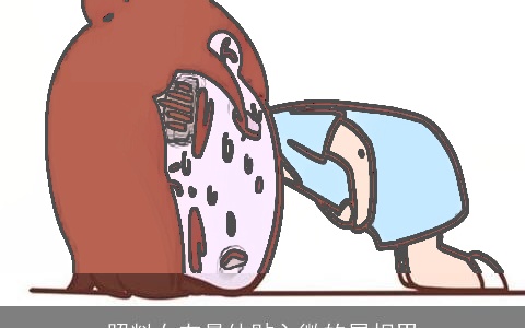 照料女友最体贴入微的属相男