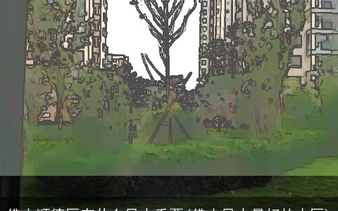 佛山顺德区有什么风水重要(佛山风水最好的小区)