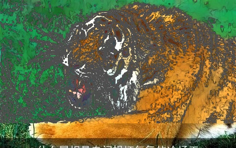 什么属相是专门损坏气氛的冷场王