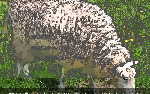 梦见绵羊是什么意思 它是一种好运的预兆吗
