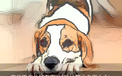 狗的霸气凶猛名字(好听的警犬名字大全)