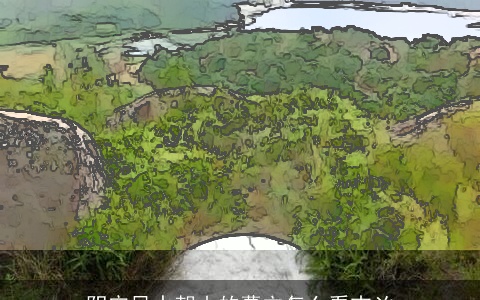 阴宅风水朝山的墓穴怎么看吉凶