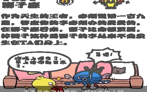 干事最靠谱的星座，赶忙来抱大腿