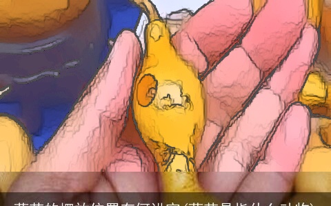 葫芦的摆放位置有何讲究(葫芦是指什么动物)