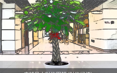 店铺风水财位图解(财位绿植)