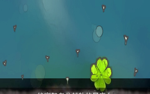 能宽恕老公越轨的星座女