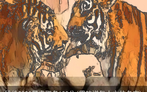 段姓2023属虎取名100分(男孩洋气大方的名字)