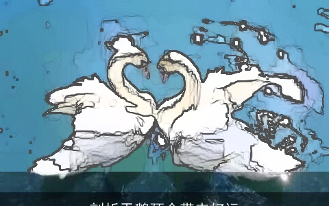 剖析天鹅颈会带来好运