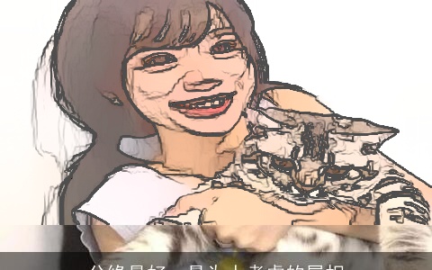 分缘最好，最为人考虑的属相