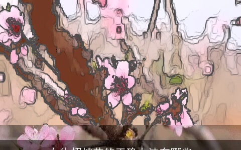 女生招桃花的正确办法有哪些