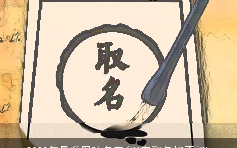 2023年最旺男孩名字(田字取名好不好)