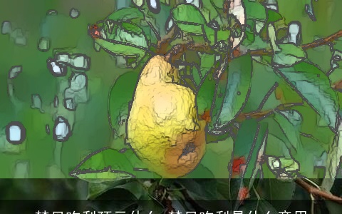 梦见吃梨预示什么 梦见吃梨是什么意思