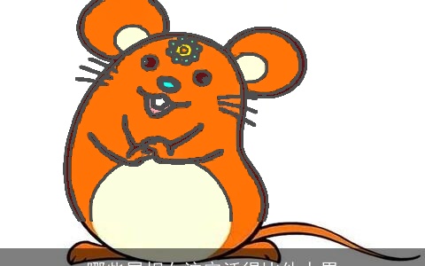 哪些属相女注定活得比他人累