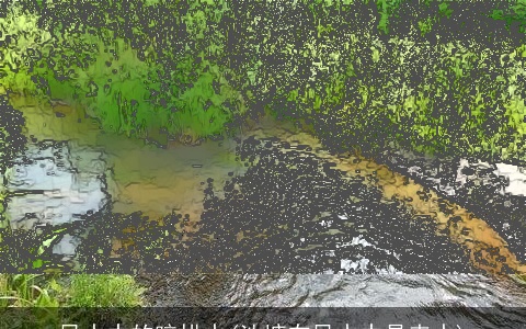 风水中的暗拱水(池塘在风水中是来水)