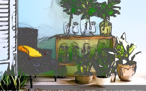 进门对面放什么植物比较好(入户门正对着放绿植好不好)