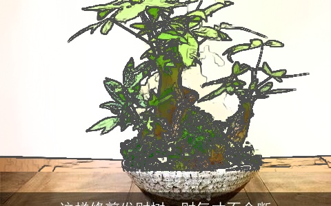 这样修剪发财树，财气才不会断