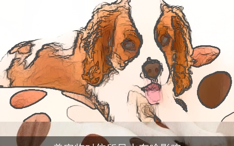 养宠物对住所风水有啥影响