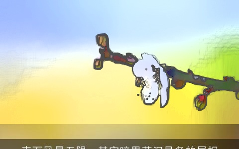 表面风景无限，其实暗里苦泪最多的属相