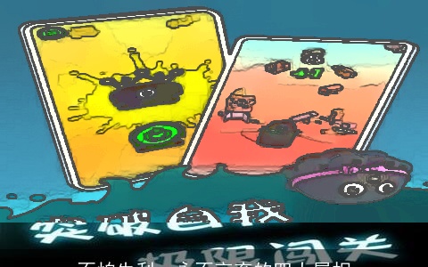 不怕失利，永不言弃的四大属相