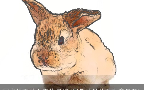 属龙的干什么工作最好(属兔的做什么生意最旺)