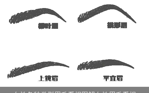 女性各种类型眉毛看相图解女性眉毛看相