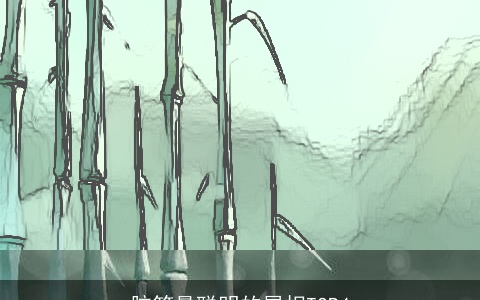 脑筋最聪明的属相TOP4