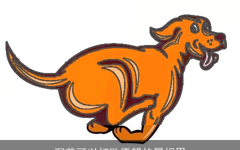 沉着可以打败愿望的属相男