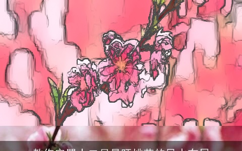 教你安置十二月最旺桃花的风水布局