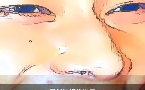 鼻翼巨细论财气