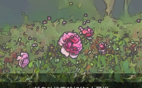 越自动桃花越好的3大属相