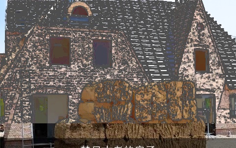 梦见古老的房子