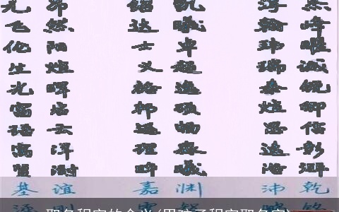 取名程字的含义(男孩子程字取名字)