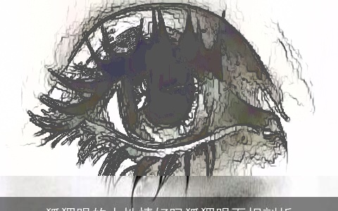 狐狸眼的人性情好吗狐狸眼面相剖析