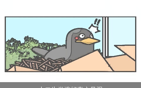 十二生肖谁好奇心最强