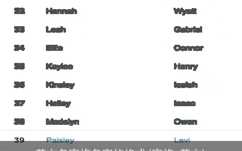 英文名家族名字的格式(家族 英文)