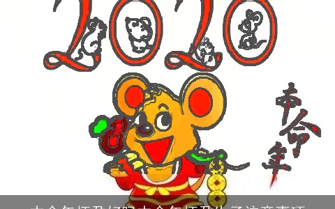 本命年怀孕好吗本命年怀孕生子注意事项