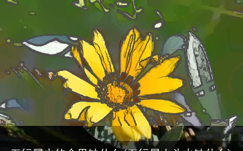 五行属火的命里缺什么(五行属山头火缺什么)