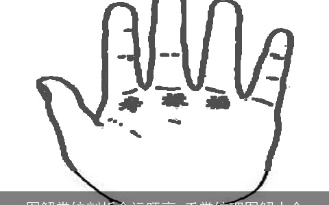 图解掌纹剖析命运旺衰,手掌纹理图解大全