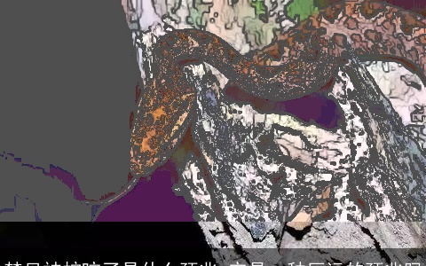 梦见被蛇咬了是什么预兆 它是一种厄运的预兆吗